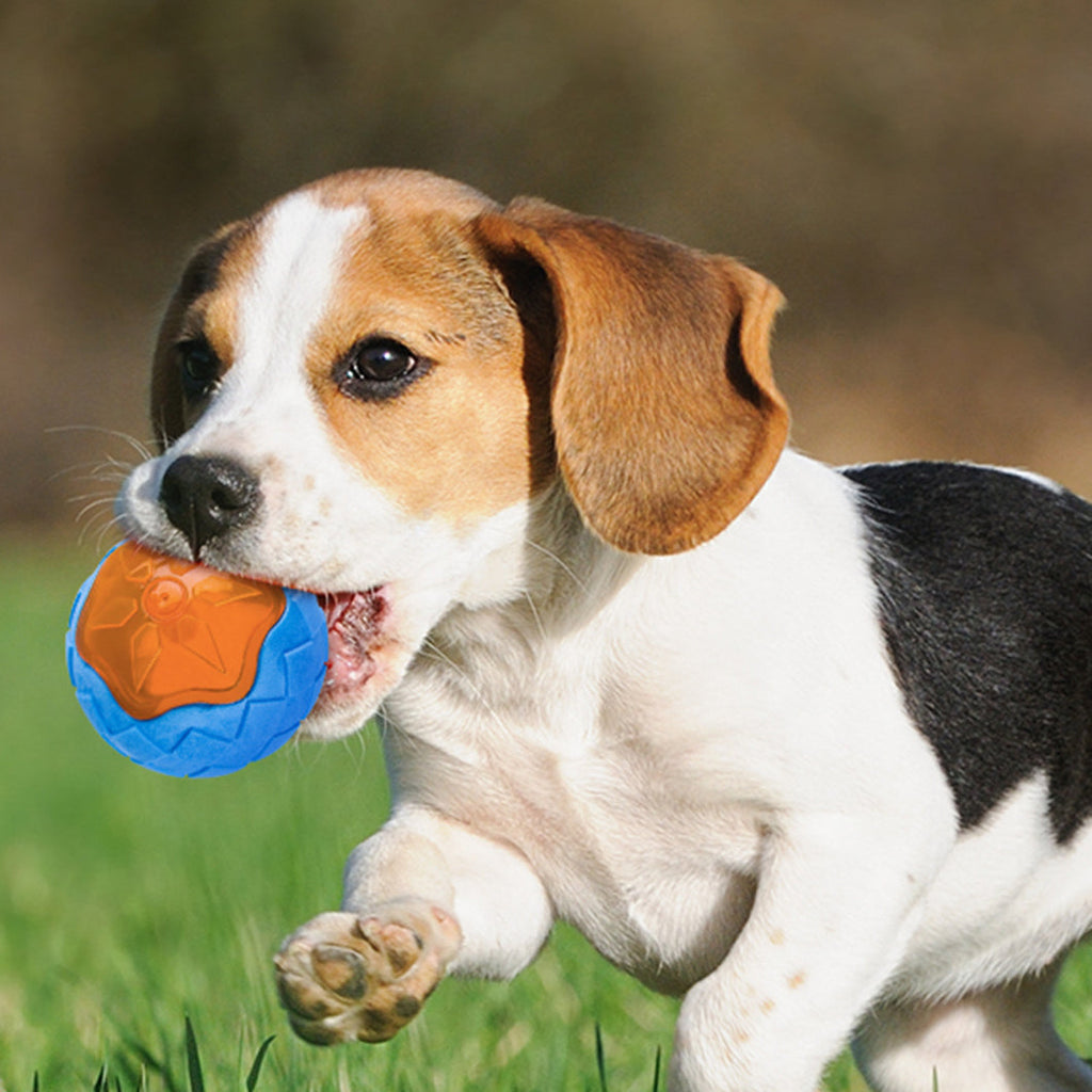 Dog Toy Ball Audible Glow Can Float Grinding Teeth
